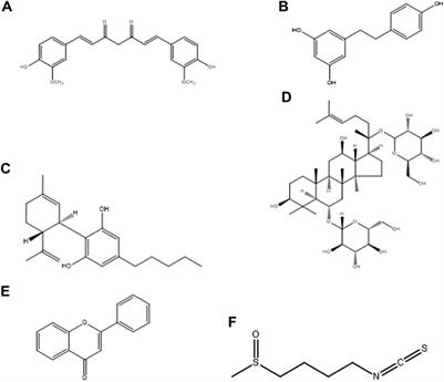 Microglia Specific Drug Targeting Using Natural Products for the Regulation of Redox Imbalance in Neurodegeneration